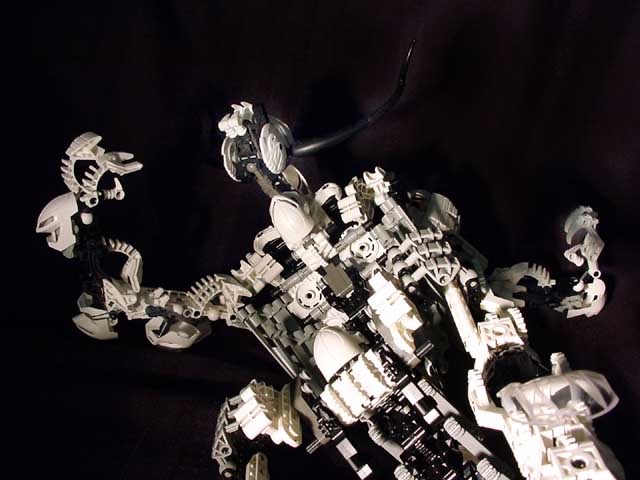 detail06.jpg