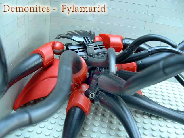 fylamarid1.jpg