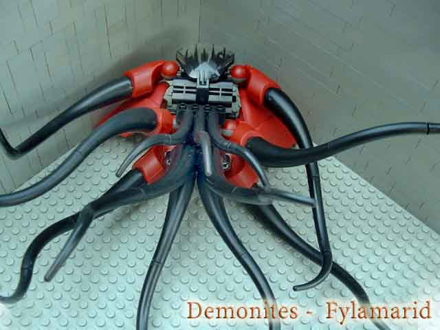 fylamarid2.jpg
