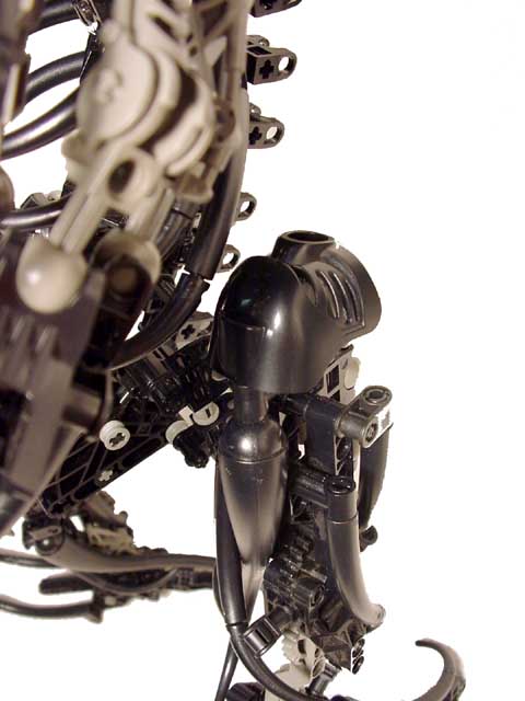 khaltchie_detail3.jpg