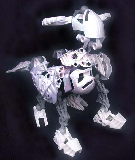 rahino1.jpg