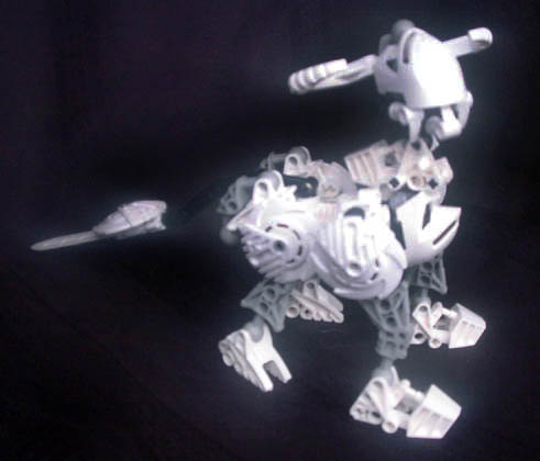 rahino2.jpg