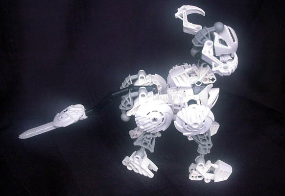 rahino3.jpg