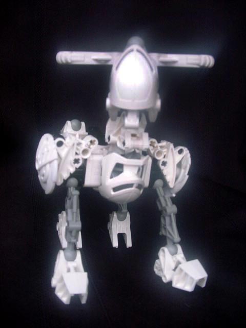 rahino6.jpg