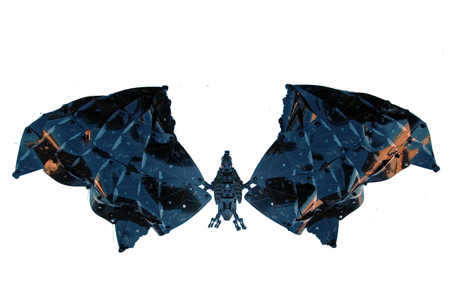 bat_01.jpg