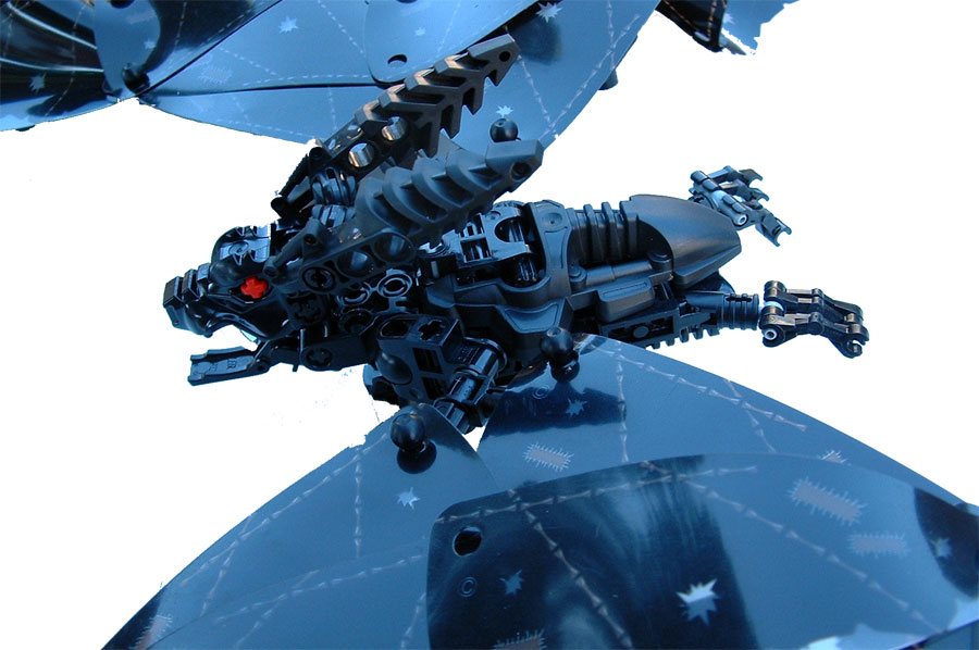 bat_03.jpg