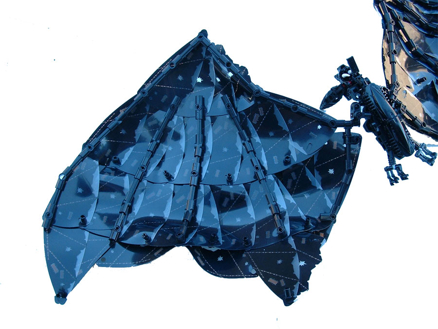 bat_04.jpg