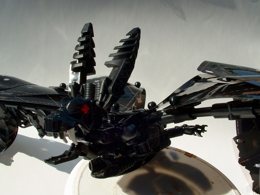bat_10.jpg