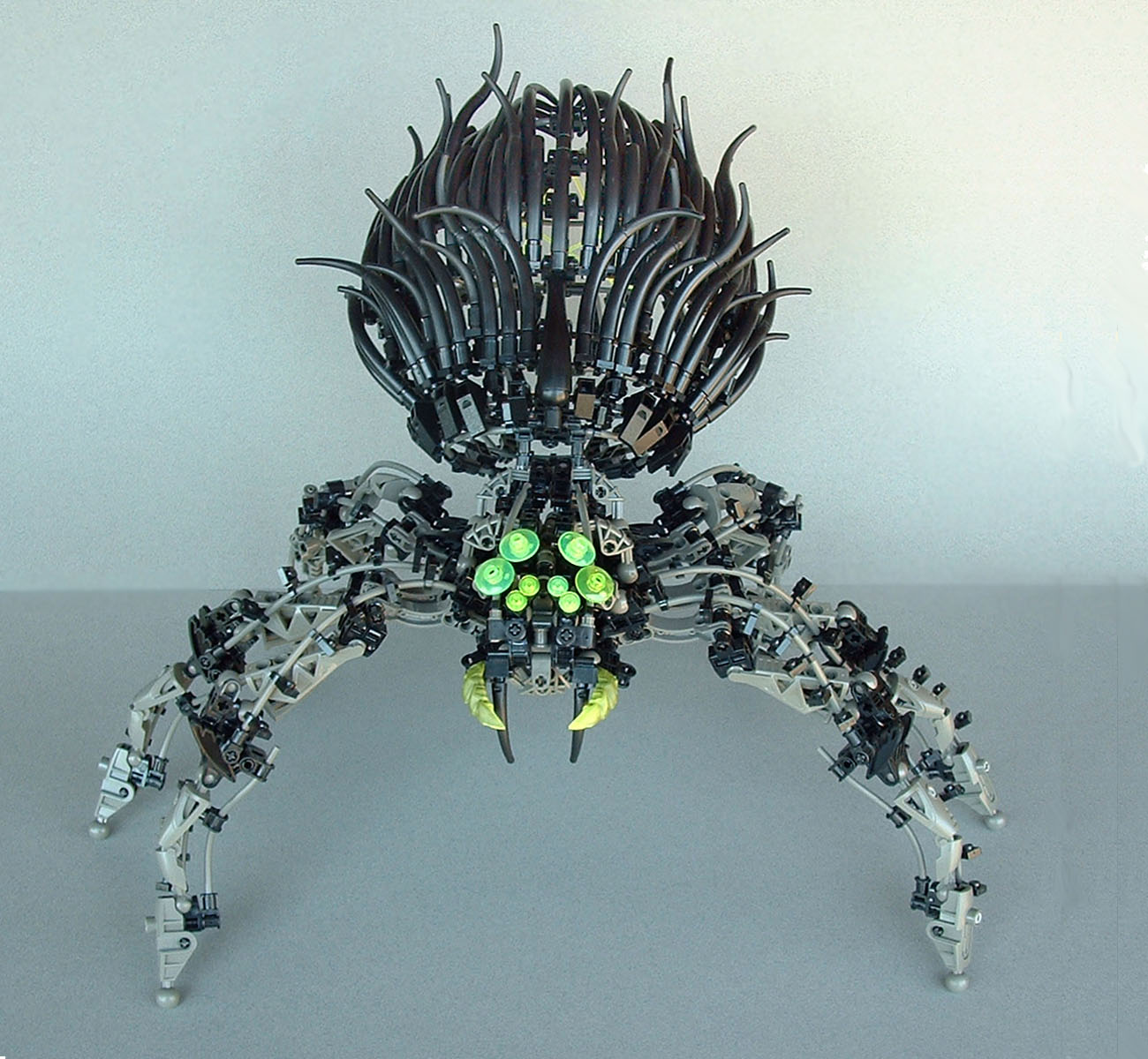 widow04.jpg