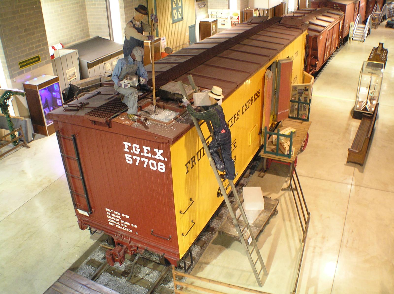 fgx07.jpg