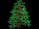 tree2.jpg