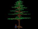 tree3.jpg