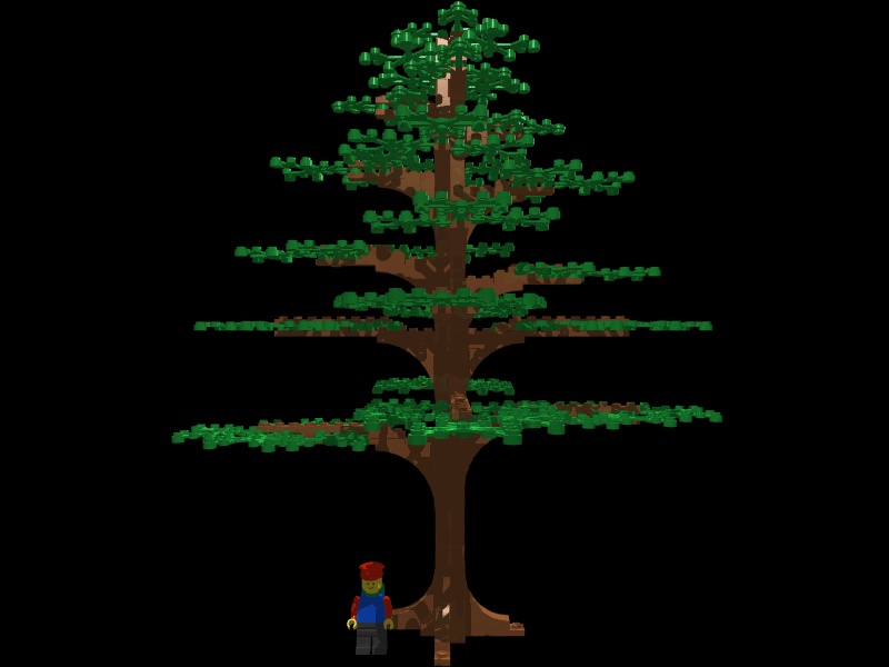 tree3.jpg