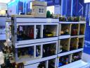 dsc03239.jpg