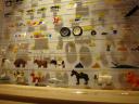 dsc03270.jpg