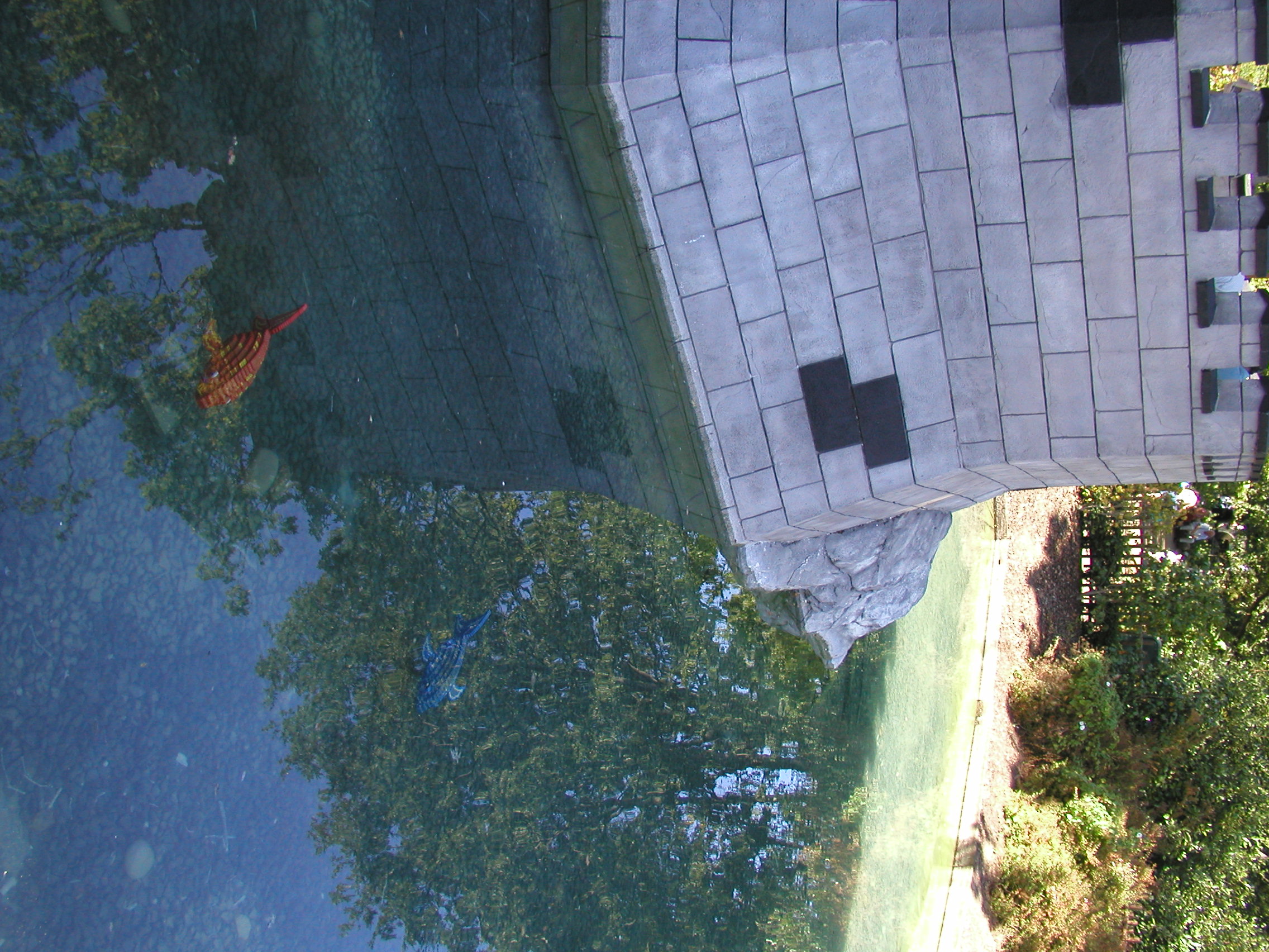p8141441.jpg