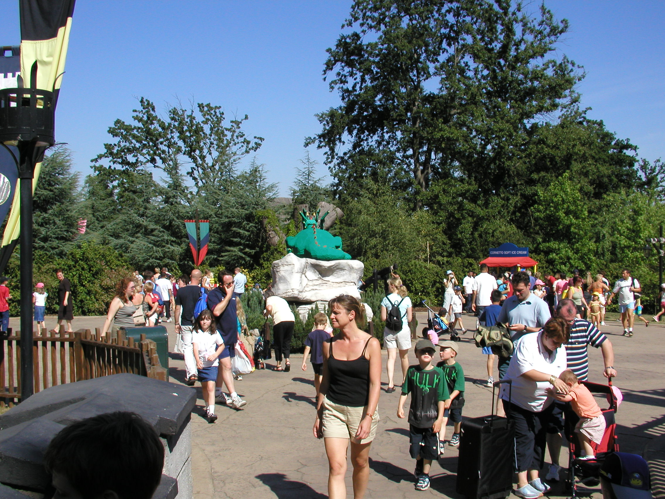 p8141442.jpg