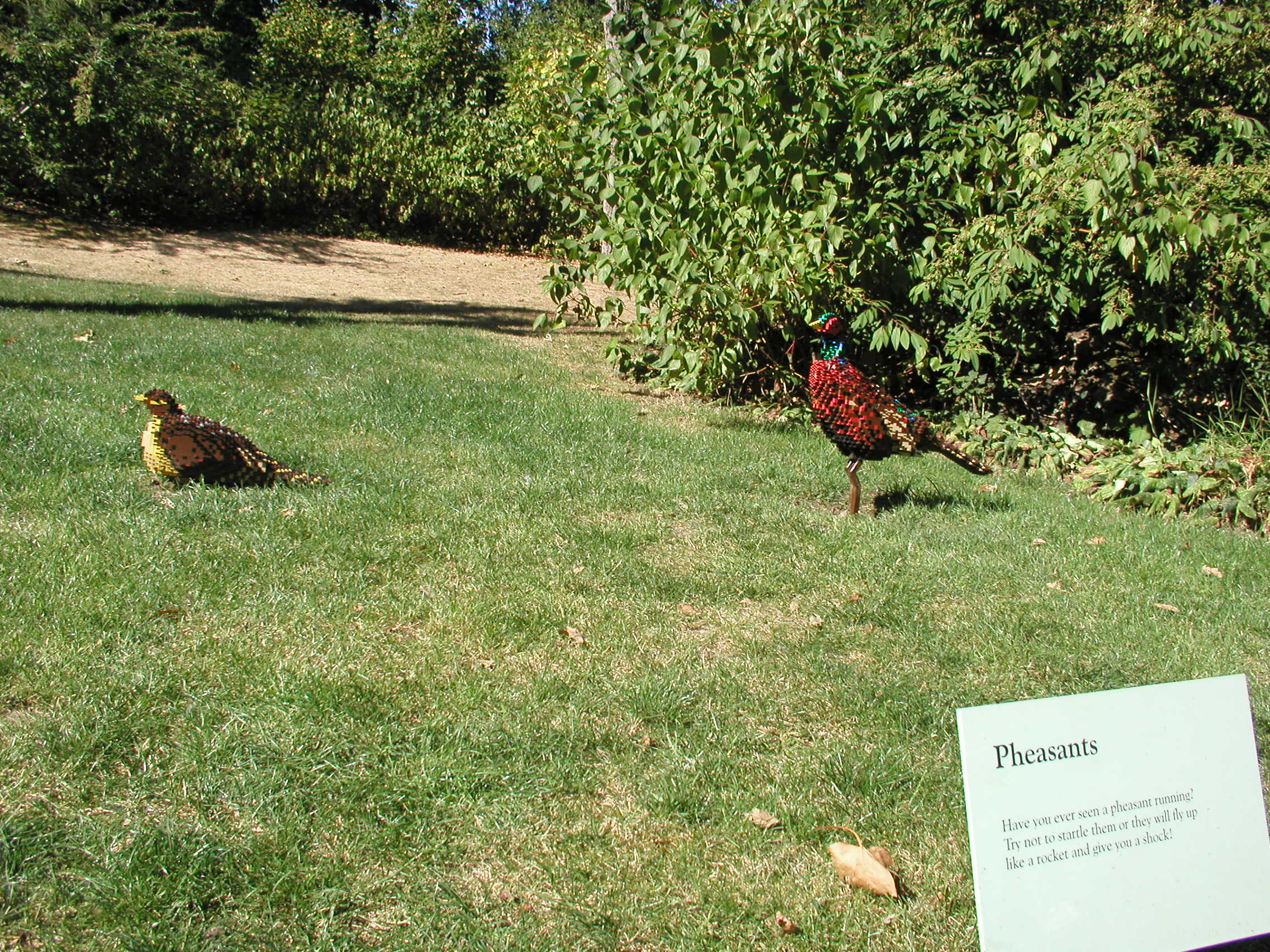 p8141454.jpg