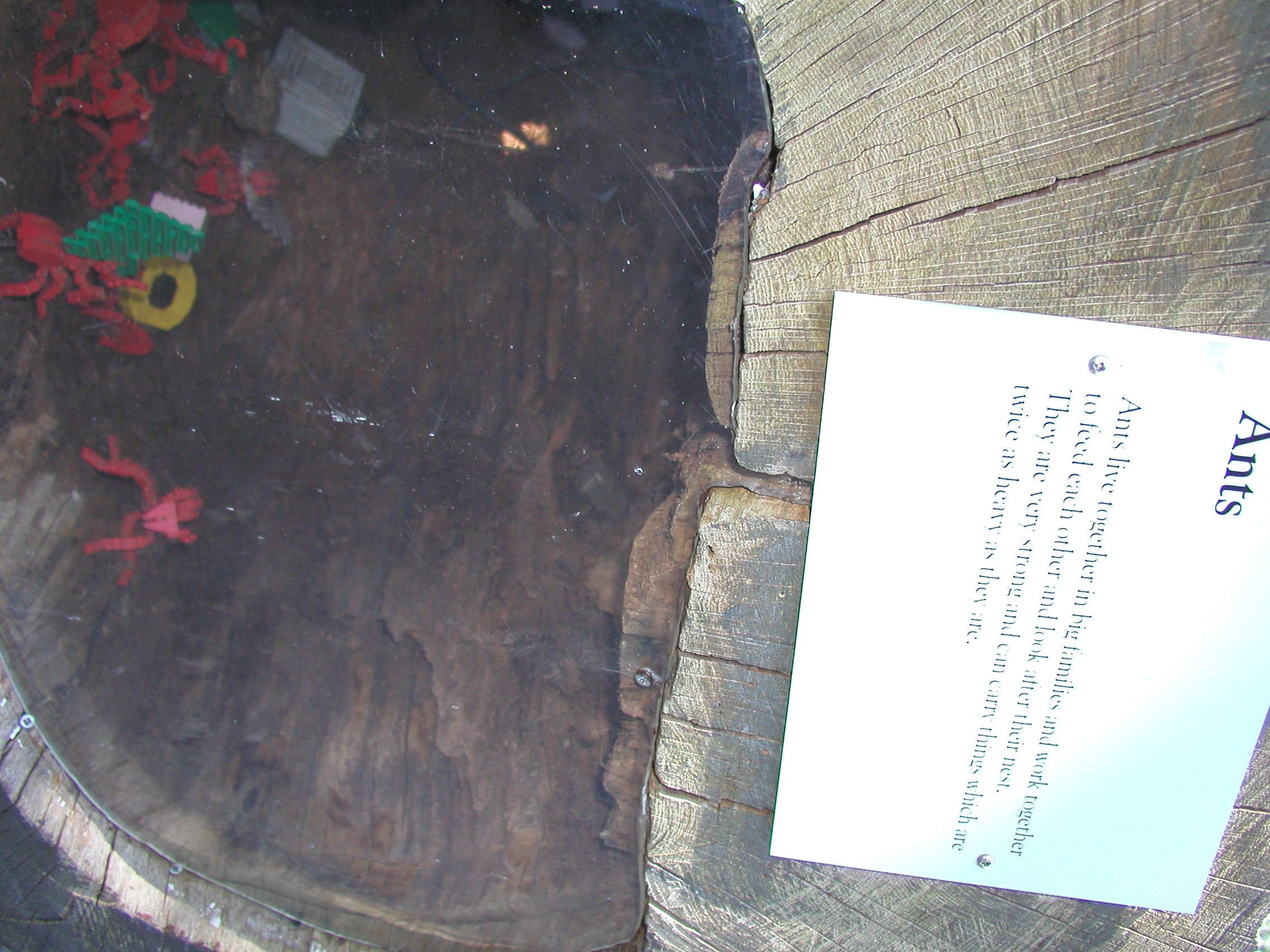 p8141455.jpg