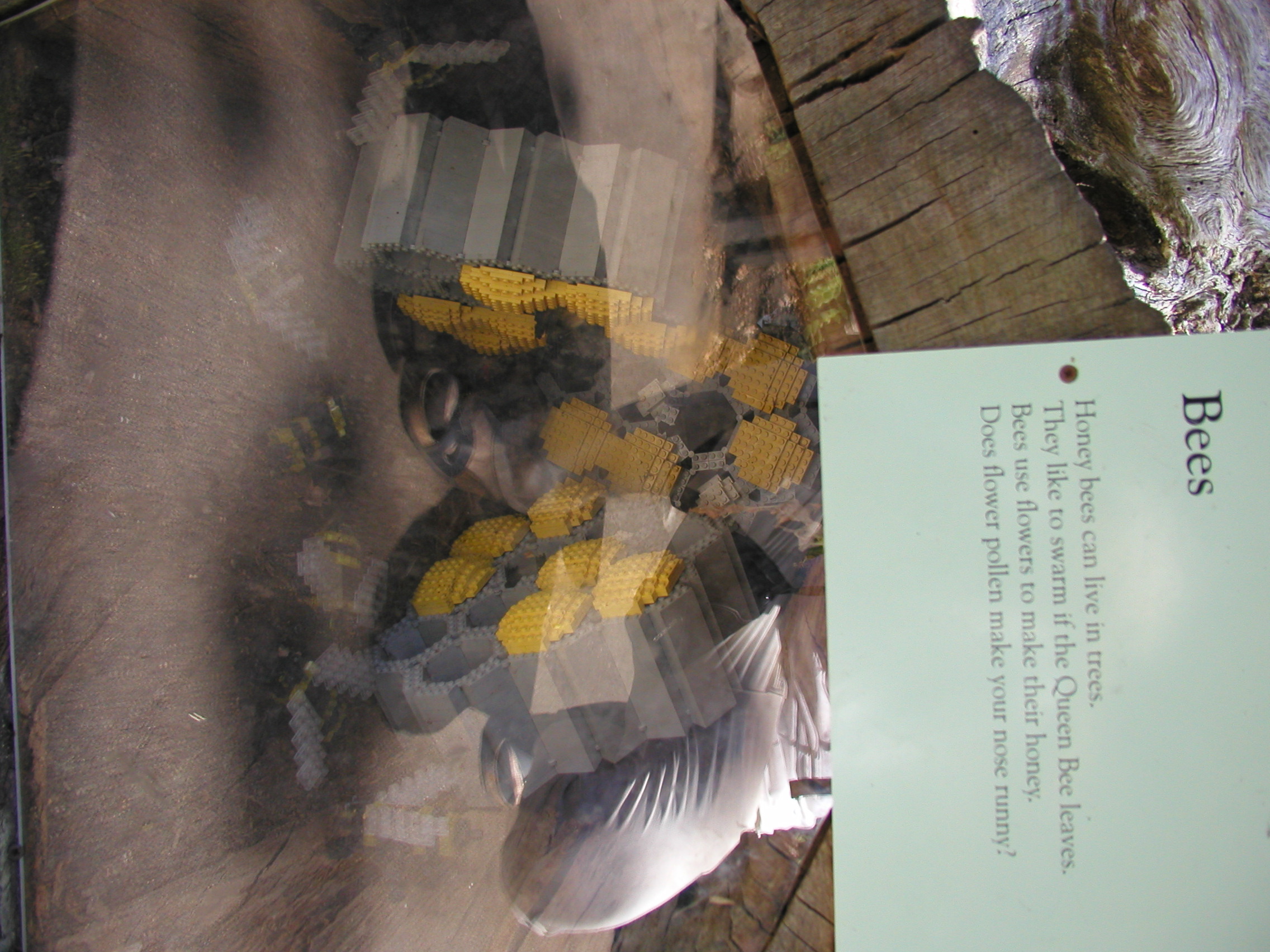 p8141456.jpg