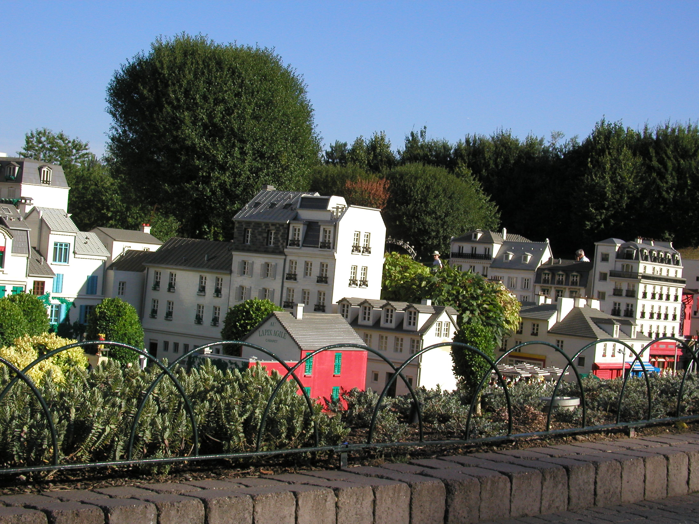 p8141520.jpg