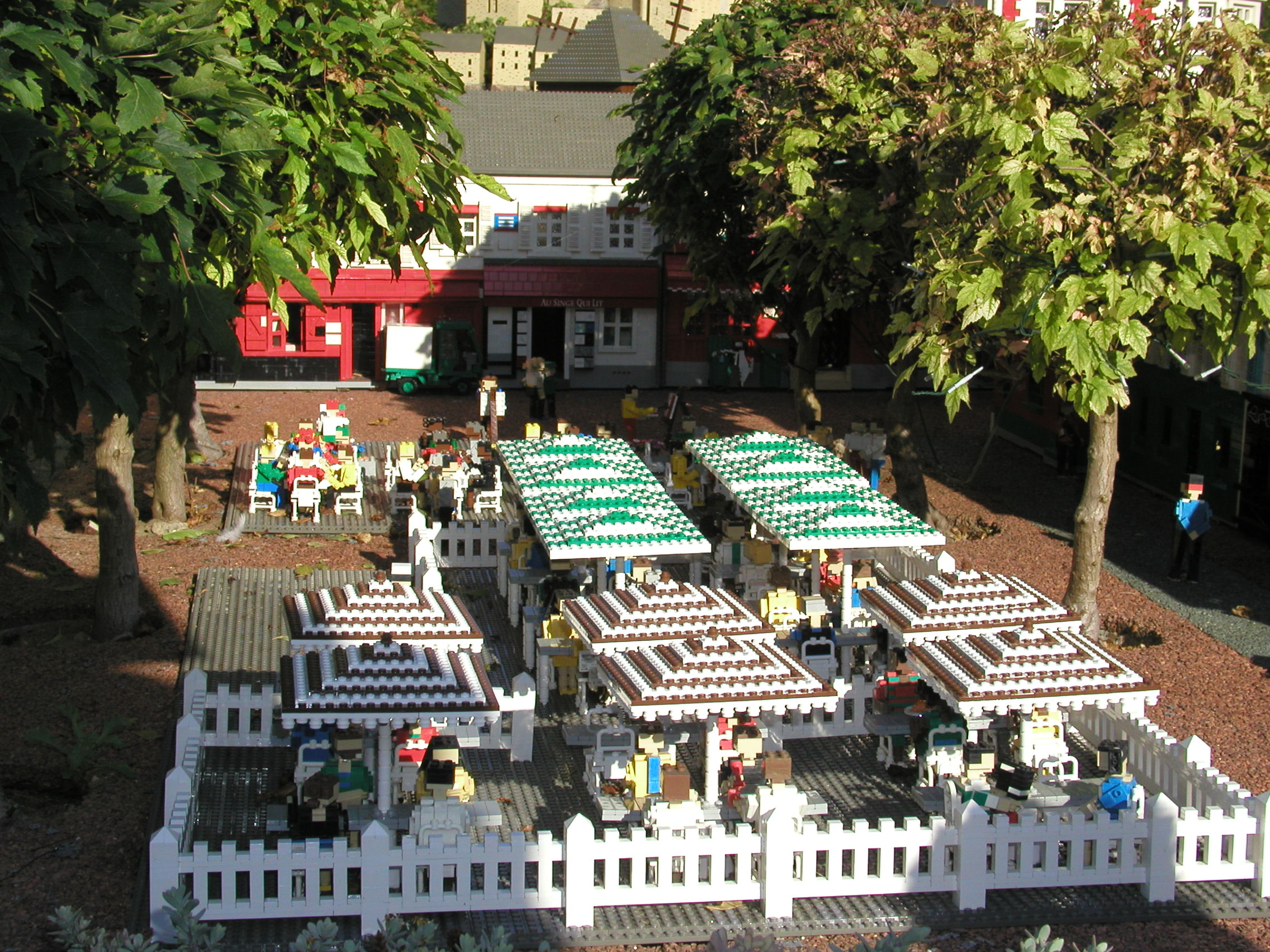 p8141522.jpg
