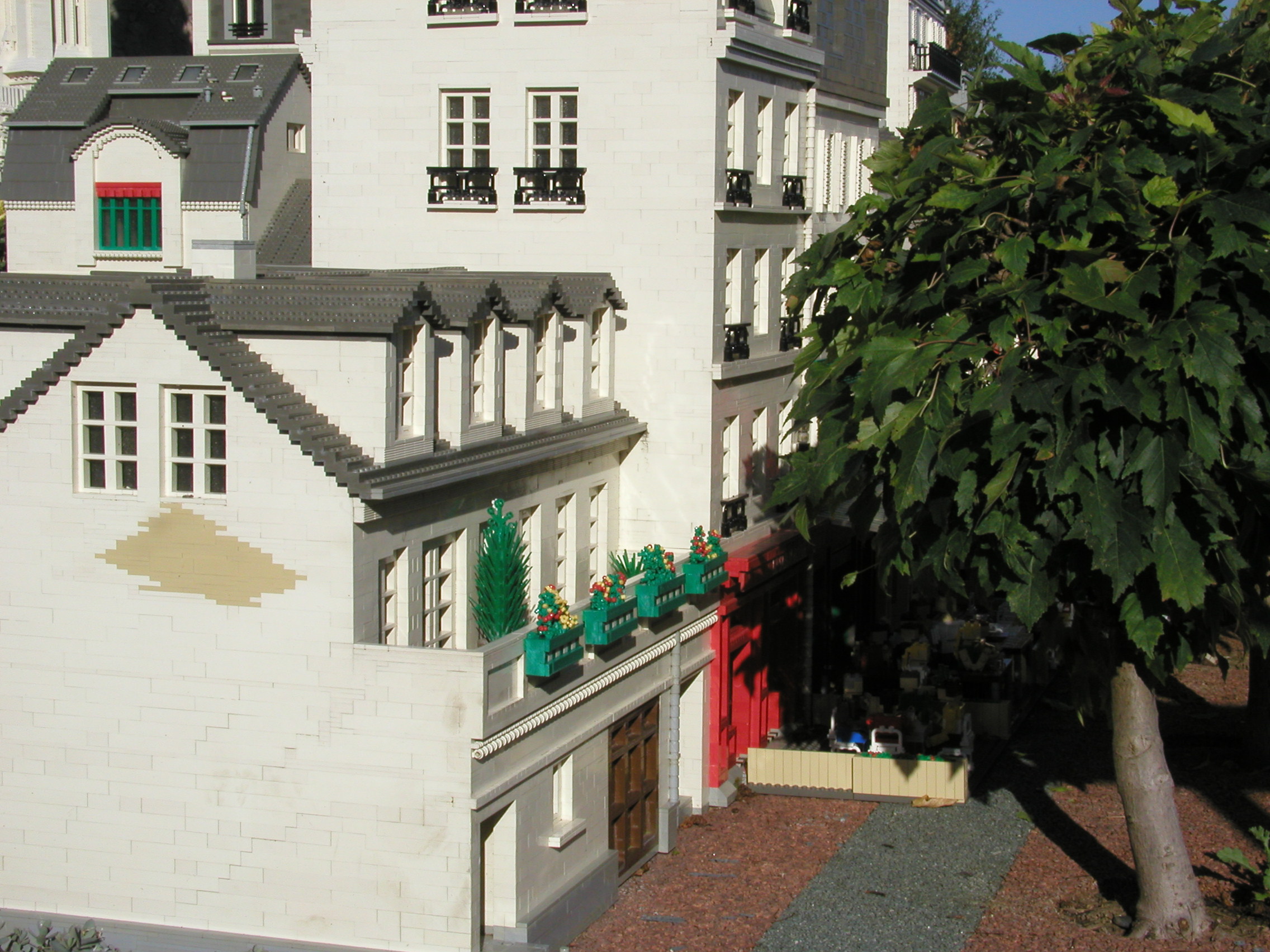 p8141523.jpg