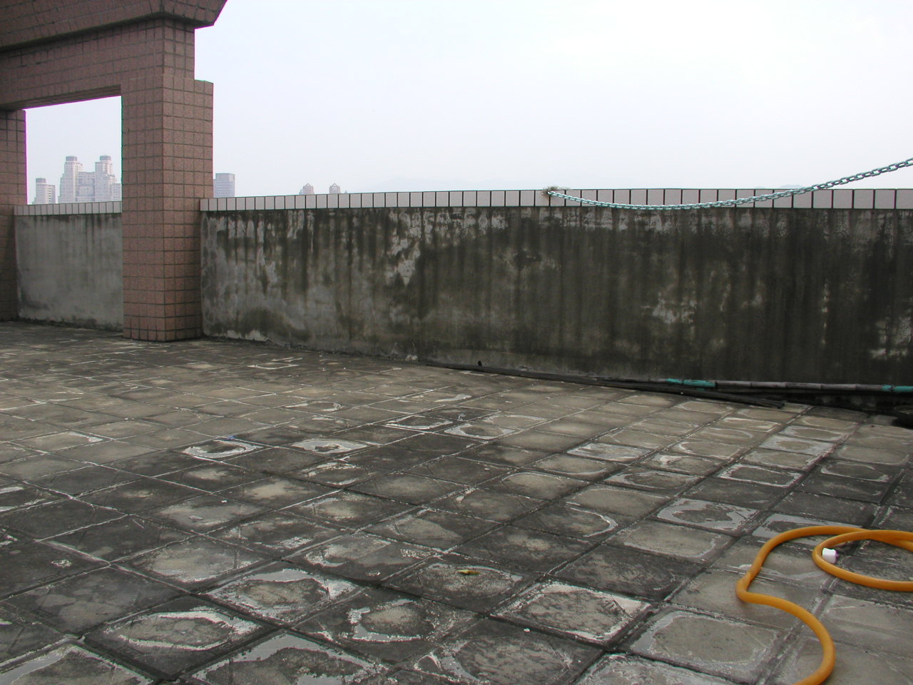 p6173102.jpg