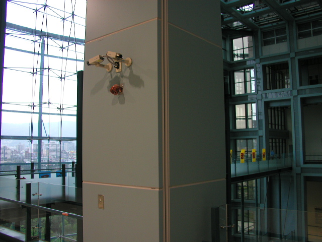 p4250223.jpg