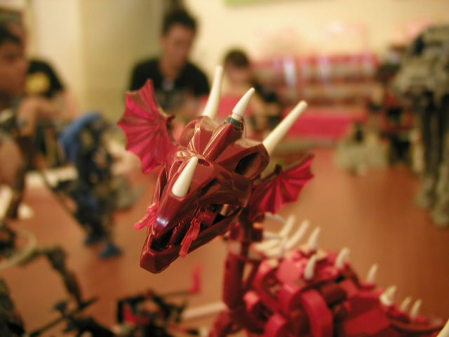 p1011575.jpg