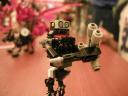 p1011571.jpg