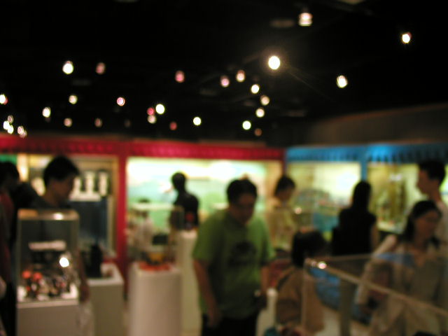 p6251842.jpg