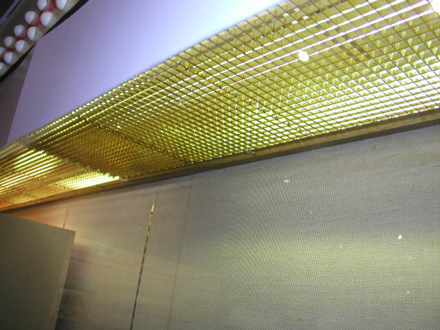 p1011499.jpg