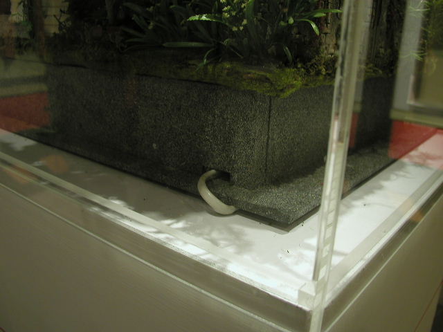 p1011510.jpg