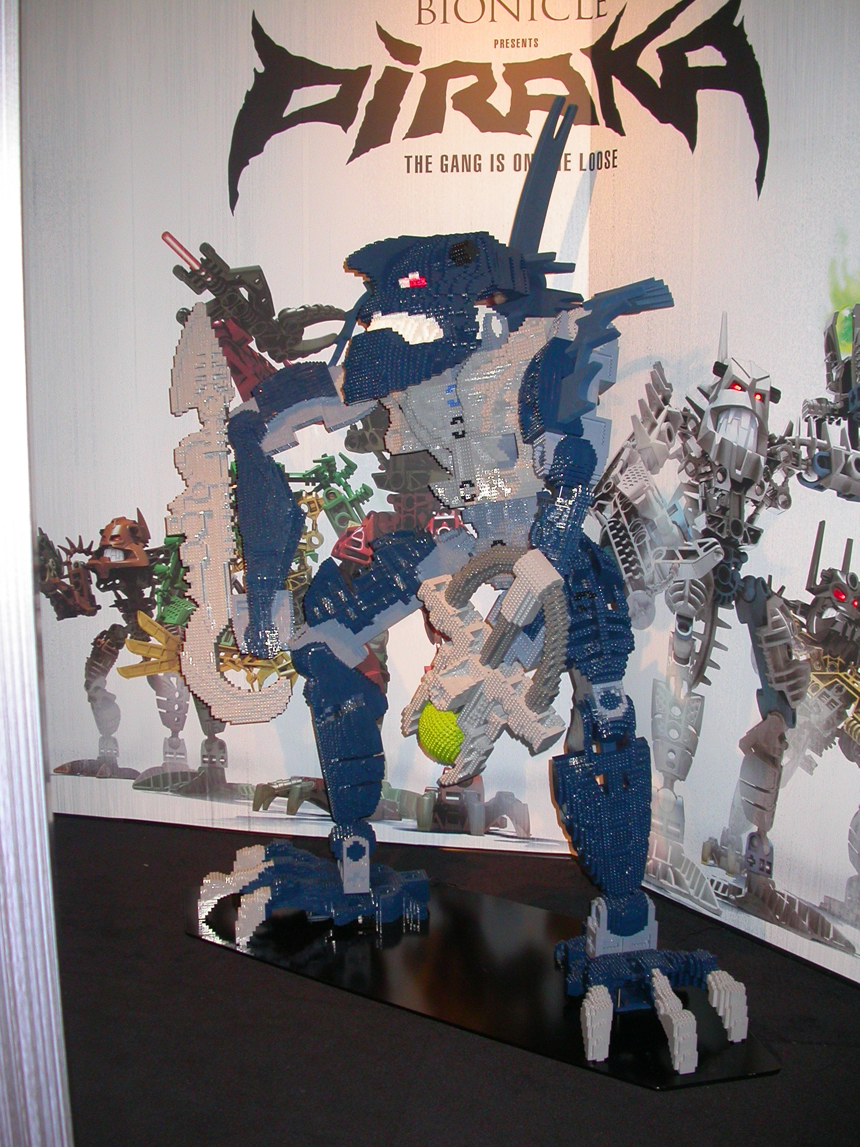 dscn8273.jpg
