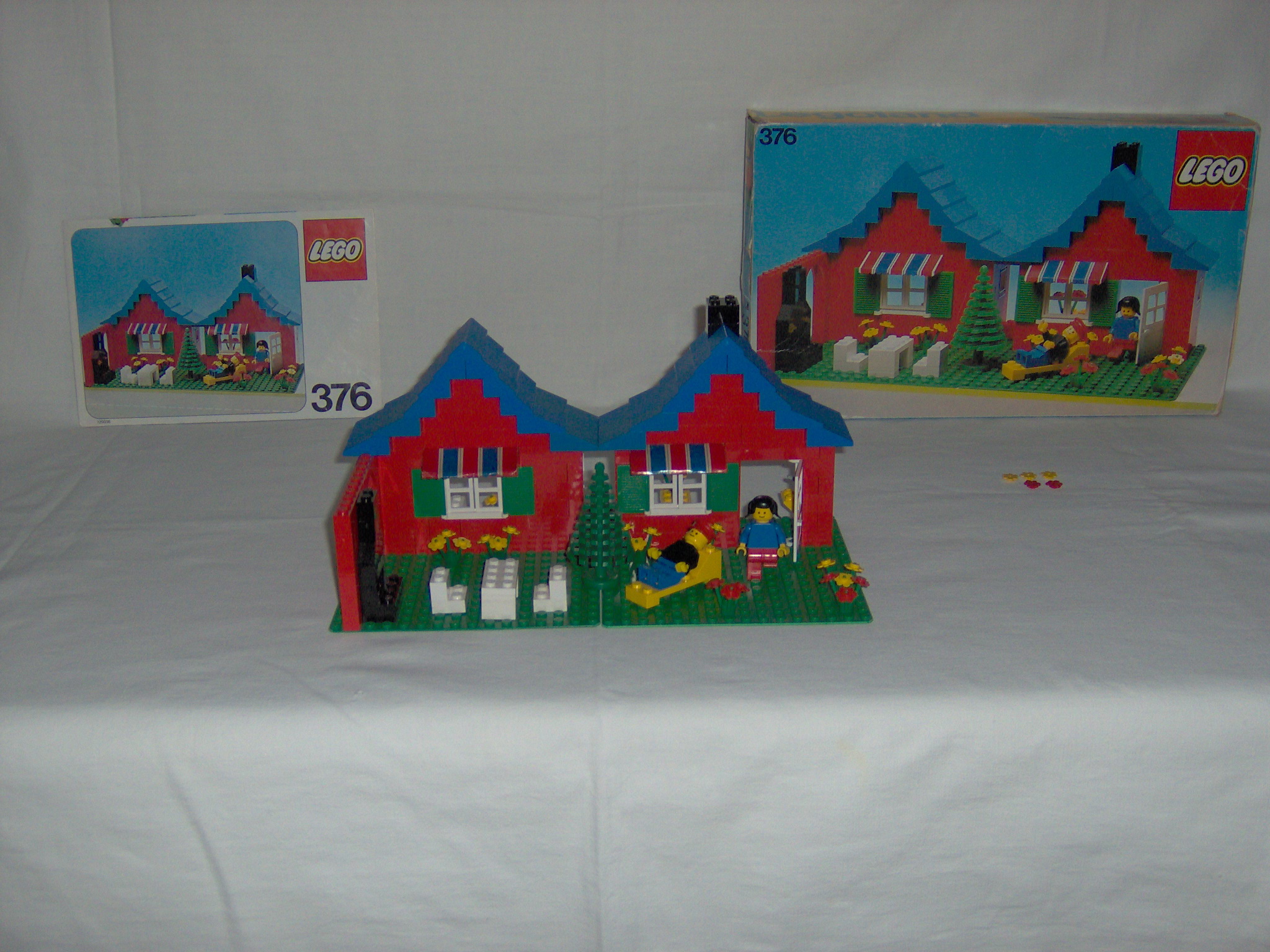 376.jpg