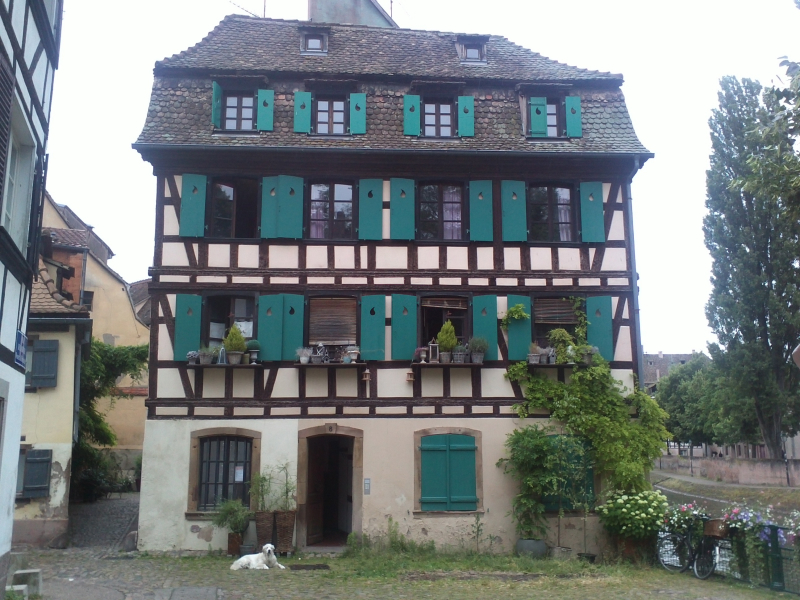 img010.jpg