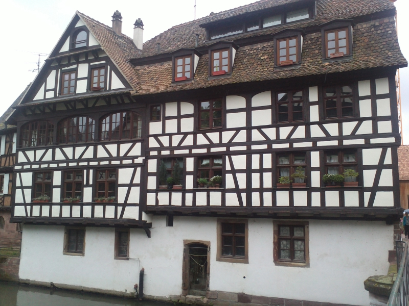 img015.jpg