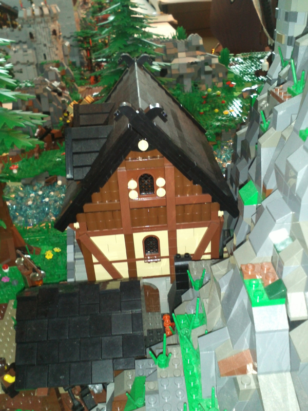 img081.jpg