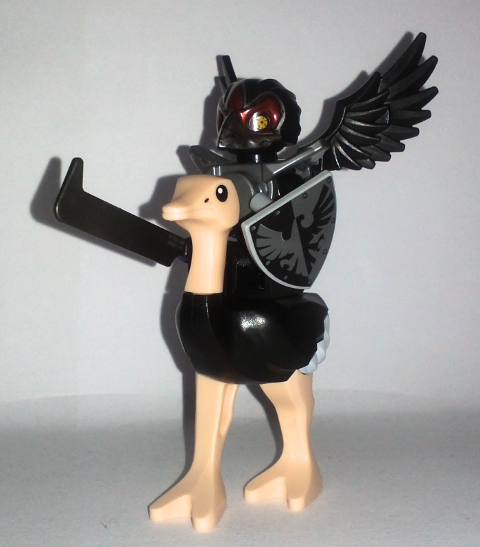 blackostrichfalcon01.jpg
