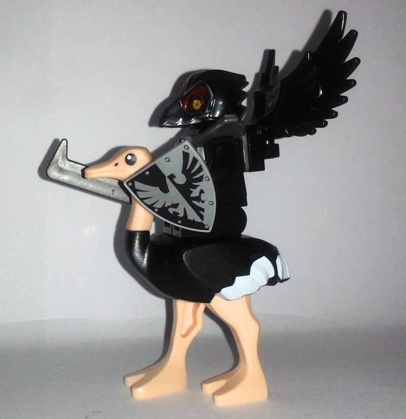 blackostrichfalcon02.jpg