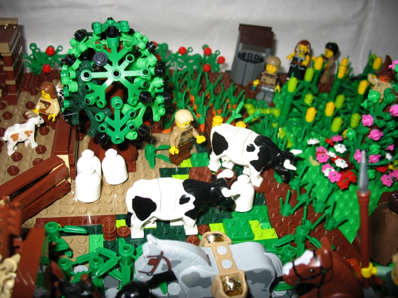 img_1732.jpg