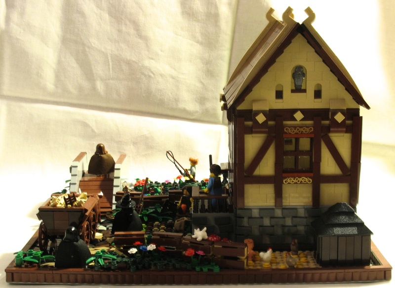 img_9668_800.jpg