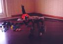 vf11b_gm.jpg