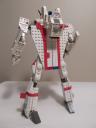 vf013.jpg