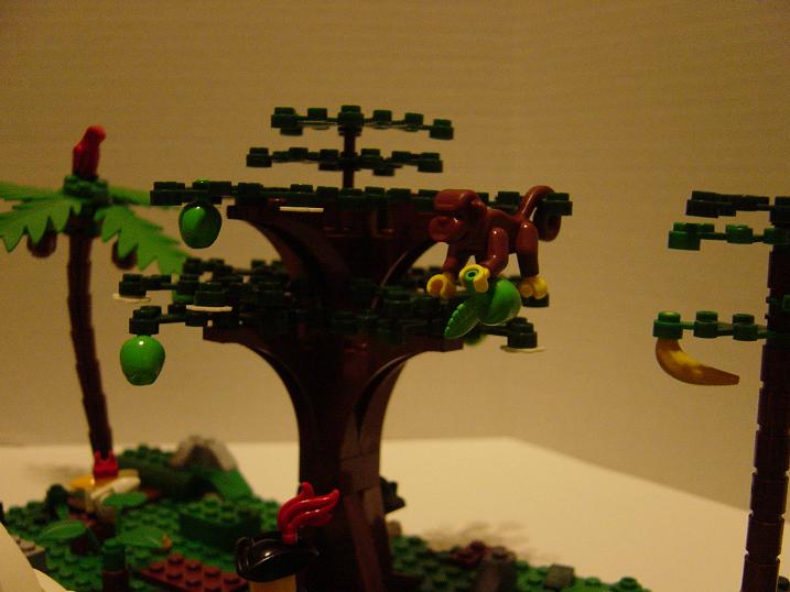 dsc02810.jpg