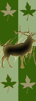 avalonia_green.jpg