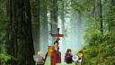 Avalonia