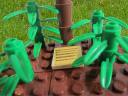 meadow.jpg