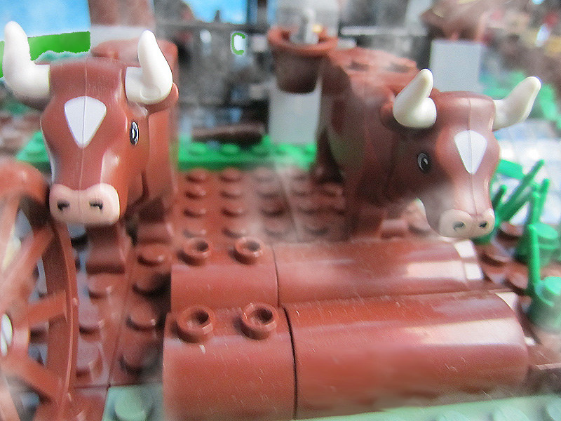 farm_field.jpg